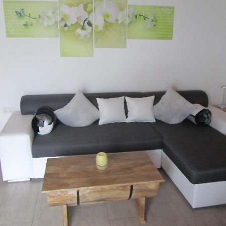 Marienstrasse Apartment Neukirchen vorm Wald Bagian luar foto